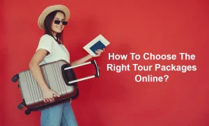 How To Choose The Right Tour Packages Online?