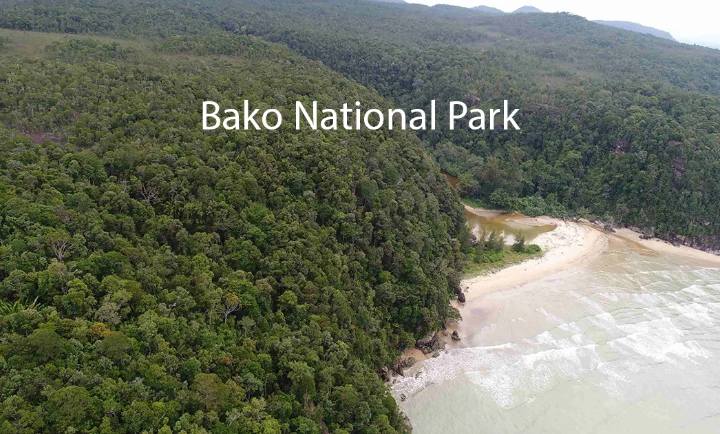 Bako National Park