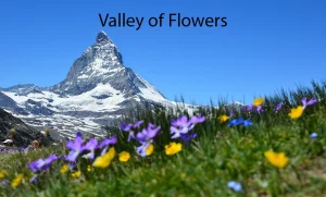 Valley of Flowers