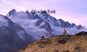 Chadar Trek