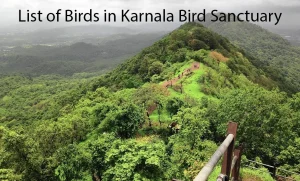 List of Birds in Karnala Bird Sanctuary