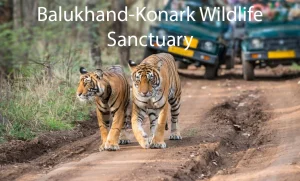 Balukhand-Konark Wildlife Sanctuary