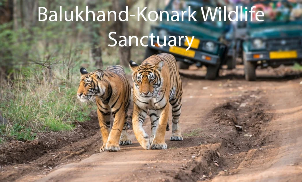 Balukhand-Konark Wildlife Sanctuary