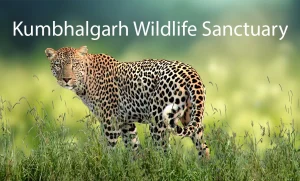 Kumbhalgarh Wildlife Sanctuary