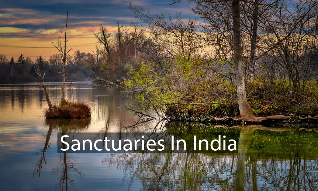 List of Sanctuaries in India